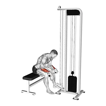 Cable Reverse Wrist Curl
