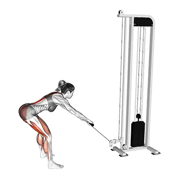 Cable Romanian Deadlift - Exclusive get you ultimate Strength for Hamstrings