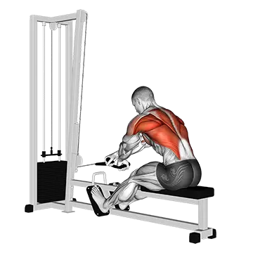 Cable Rope Crossover Seated Row