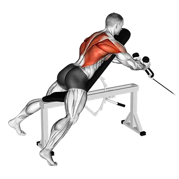 Cable Rope Extension Incline Bench Row - Exclusive get you ultimate Strength for Rhomboids