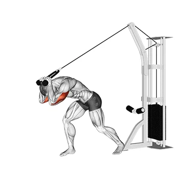 Cable Rope High Pulley Overhead Tricep Extension - Exclusive get you ultimate Strength for Triceps Brachii from X health blend   Animated Exercise  Library