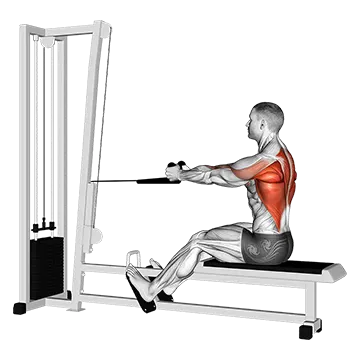 Cable Rope Seated Row