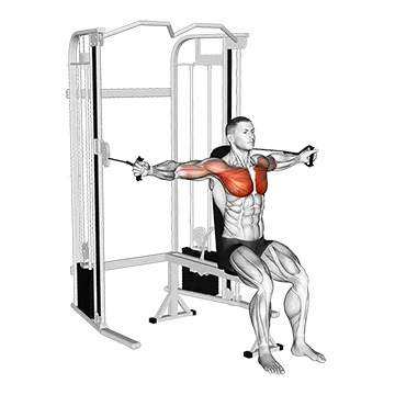 Cable Seated Chest Fly