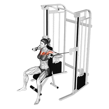 Cable Seated Chest Press