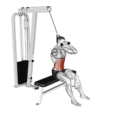 Cable Seated Crunch - Exclusive get you ultimate Strength for Rectus Abdominis from X health blend   Animated Exercise  Library