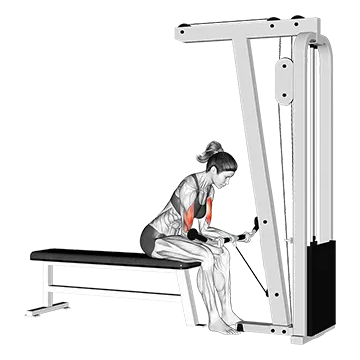 Cable Seated Curl - Exclusive get you ultimate Strength for Biceps Brachii from X health blend   Animated Exercise  Library