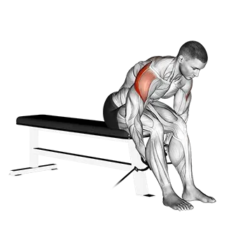 Cable Seated Rear Lateral Raise - Exclusive get you ultimate Strength for Deltoids (Rear) from X health blend   Animated Exercise  Library