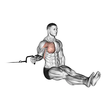 Cable Seated Shoulder Internal Rotation