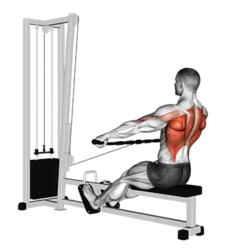 Cable Seated Wide Grip Row - Exclusive get you ultimate Strength for Latissimus Dorsi from X health blend   Animated Exercise  Library