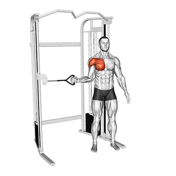 Cable Shoulder Internal Rotation