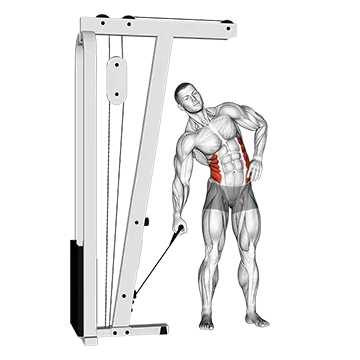 Cable Side Bend - Exclusive get you ultimate Strength for Obliques from X health blend   Animated Exercise  Library