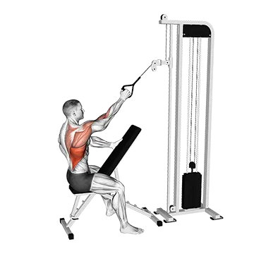 Cable Single Arm High Row