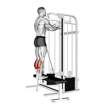 Cable Standing Calf Raise