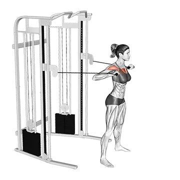 Cable Standing Chest Press - Exclusive get you ultimate Strength for Pectoralis from X health blend   Animated Exercise  Library