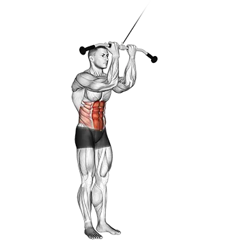 Cable Standing Crunch