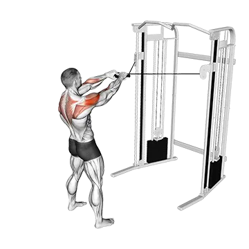 Cable Standing Face Pull