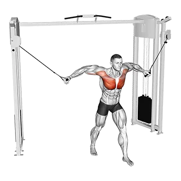 Cable Standing Fly