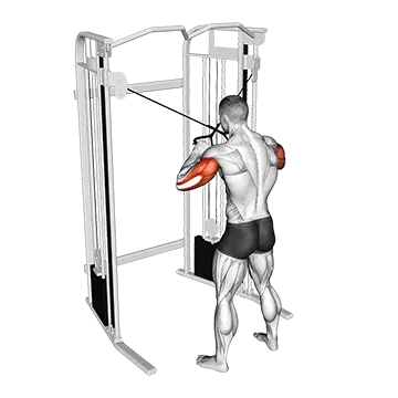 Cable Standing High Cross Triceps Extension