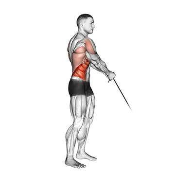 Cable Standing Lift - Exclusive get you ultimate Strength for Deltoids (Anterior) from X health blend   Animated Exercise  Library