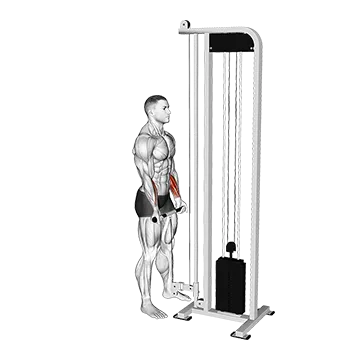 Cable Standing Wrist Curl
