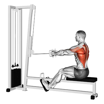 Cable Straight Back Seated Row - Exclusive get you ultimate Strength for Latissimus Dorsi from X health blend   Animated Exercise  Library