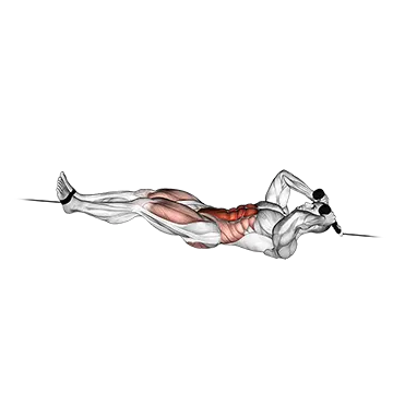Cable Tuck Reverse Crunch - Exclusive get you ultimate Strength for Rectus Abdominis from X health blend   Animated Exercise  Library