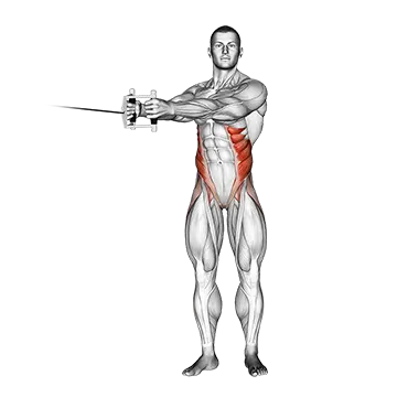 Cable Twist - Exclusive get you ultimate Strength for Obliques from X health blend   Animated Exercise  Library