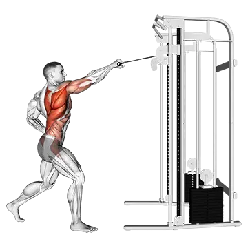 Cable Twisting Standing High Row - Exclusive get you ultimate Strength for Latissimus Dorsi from X health blend   Animated Exercise  Library