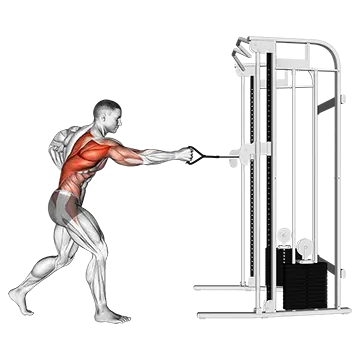 Cable Twisting Standing Row - Exclusive get you ultimate Strength for Latissimus Dorsi from X health blend   Animated Exercise  Library