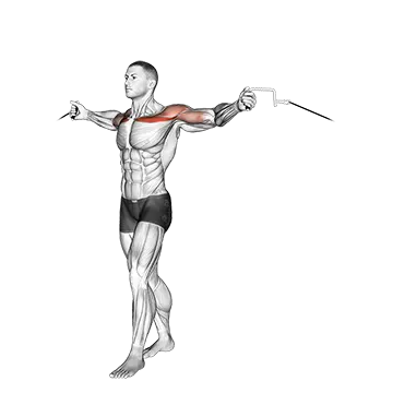 Cable Upper Chest Crossovers - Exclusive get you ultimate Strength for Pectoralis from X health blend   Animated Exercise  Library