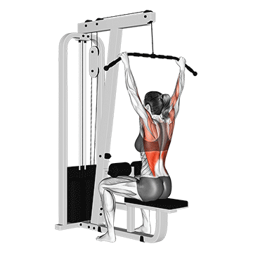 Cable Wide Grip Lat Pulldown - Exclusive get you ultimate Strength for Latissimus Dorsi from X health blend   Animated Exercise  Library