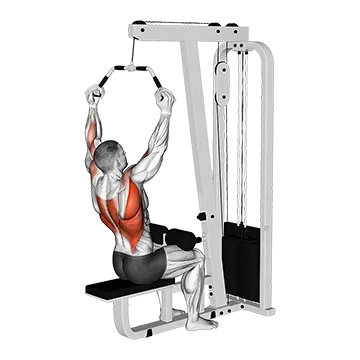 Cable Wide Neutral Grip Pulldown - Exclusive get you ultimate Strength for Latissimus Dorsi from X health blend   Animated Exercise  Library