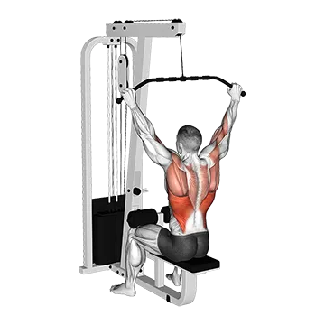 Cable Wide Pulldown - Exclusive get you ultimate Strength for Latissimus Dorsi from X health blend   Animated Exercise  Library