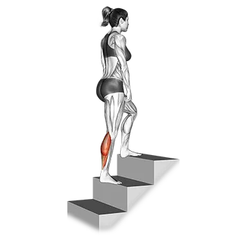 Calves Stretch