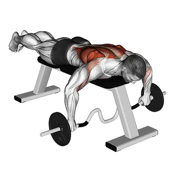 Cambered Bar Lying Row - Exclusive get you ultimate Strength for Rhomboids from X health blend   Animated Exercise  Library