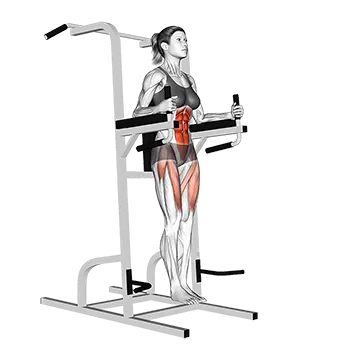 Captain's Chair Straight Leg Raise - Exclusive get you ultimate Strength for Rectus Abdominis from X health blend   Animated Exercise  Library