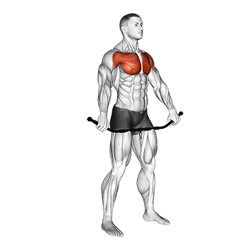 Chest and Front of Shoulder Stretch - Exclusive get you ultimate Flexibility for Pectoralis from X health blend   Animated Exercise  Library