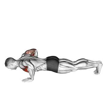 Chest Tap Push Up - Exclusive get you ultimate Strength for Pectoralis from X health blend   Animated Exercise  Library