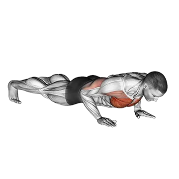 Clock Push Up