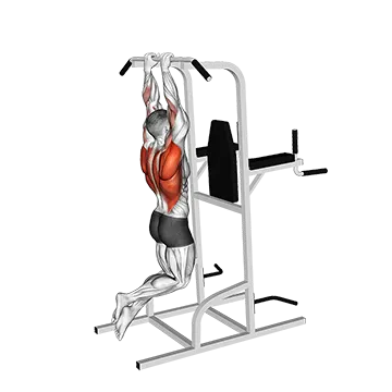 Close Grip Pull Up - Exclusive get you ultimate Strength for Latissimus Dorsi from X health blend   Animated Exercise  Library