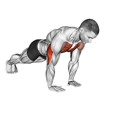 Close Grip Push Up