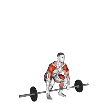 Cluster - Exclusive get you ultimate Strength for Full Body from X health blend   Animated Exercise  Library
