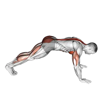 Cobra Push Up