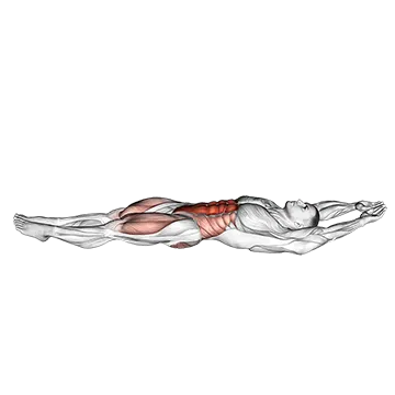 Cocoons - Exclusive get you ultimate Strength for Rectus Abdominis from X health blend   Animated Exercise  Library