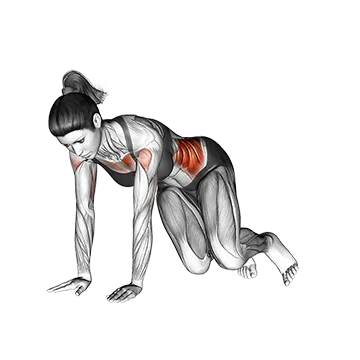 Corkscrew Push Up