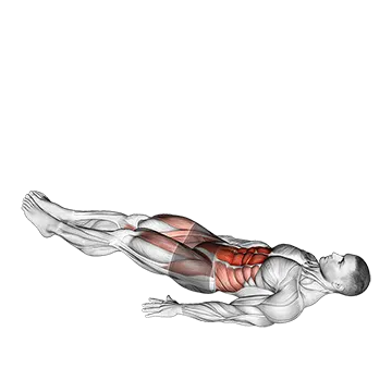 Criss Cross Leg Raises - Exclusive get you ultimate Strength for Rectus Abdominis from X health blend   Animated Exercise  Library