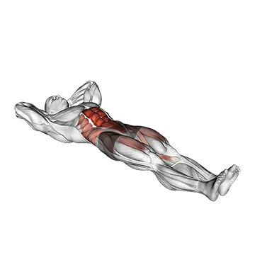 Crunch Single Leg Lift - Exclusive get you ultimate Strength for Rectus Abdominis