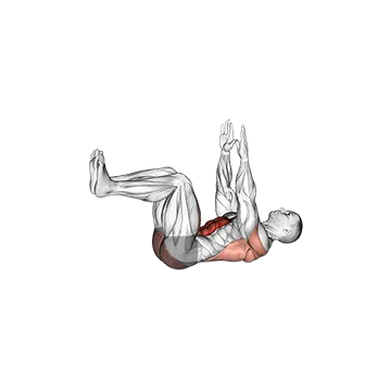 Dead Bug - Exclusive get you ultimate Strength for Rectus Abdominis