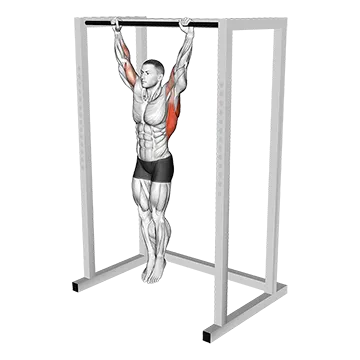Dead Hang Stretch - Exclusive get you ultimate Flexibility for Deltoids from X health blend   Animated Exercise  Library