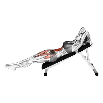 Decline Knee Raise - Exclusive get you ultimate Strength for Rectus Abdominis from X health blend   Animated Exercise  Library
